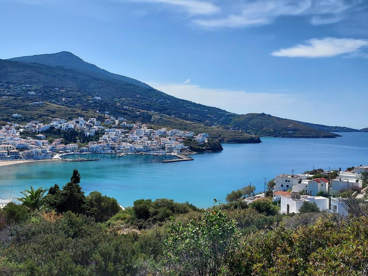 Villa Arni Andros - Βίλα Αρνη Batsíon Exterior foto