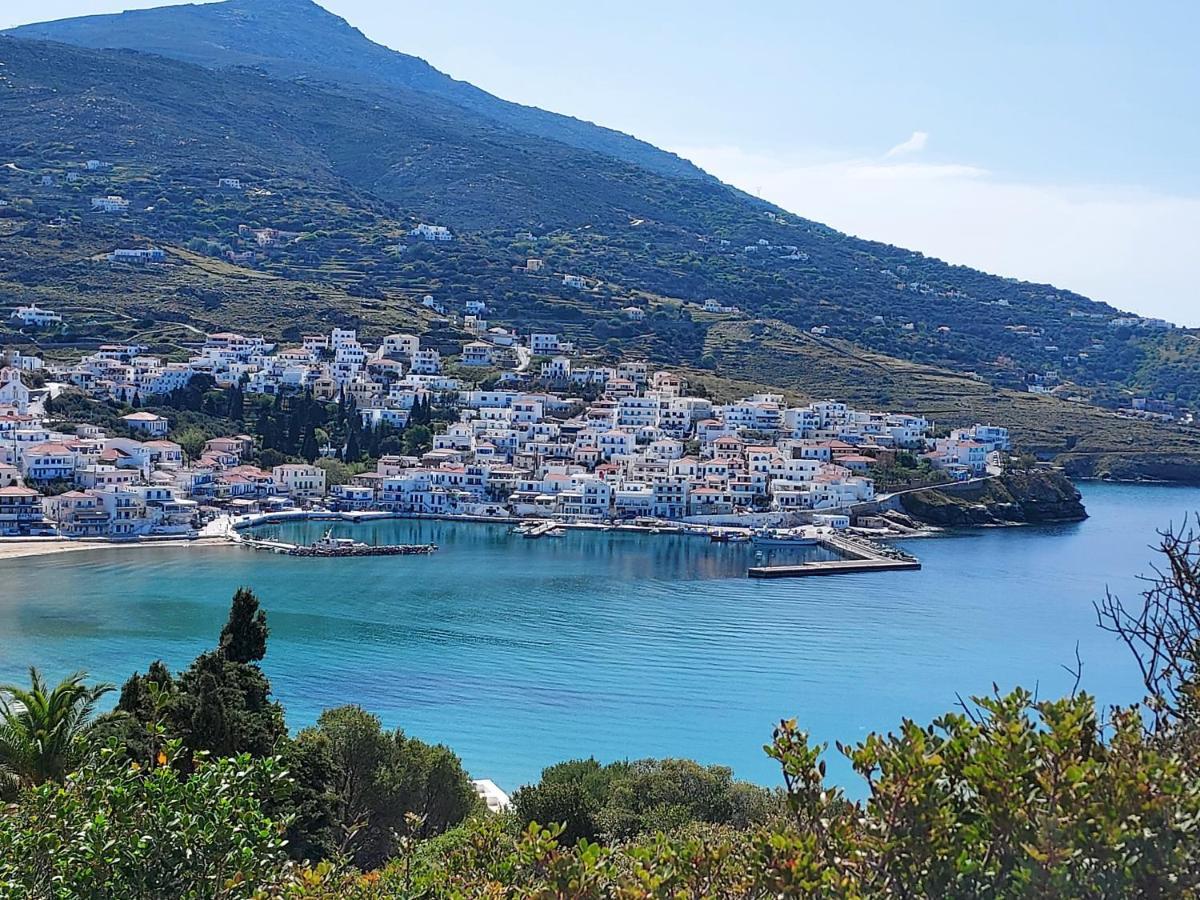 Villa Arni Andros - Βίλα Αρνη Batsíon Exterior foto