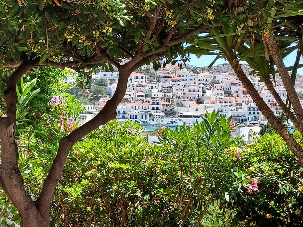 Villa Arni Andros - Βίλα Αρνη Batsíon Exterior foto