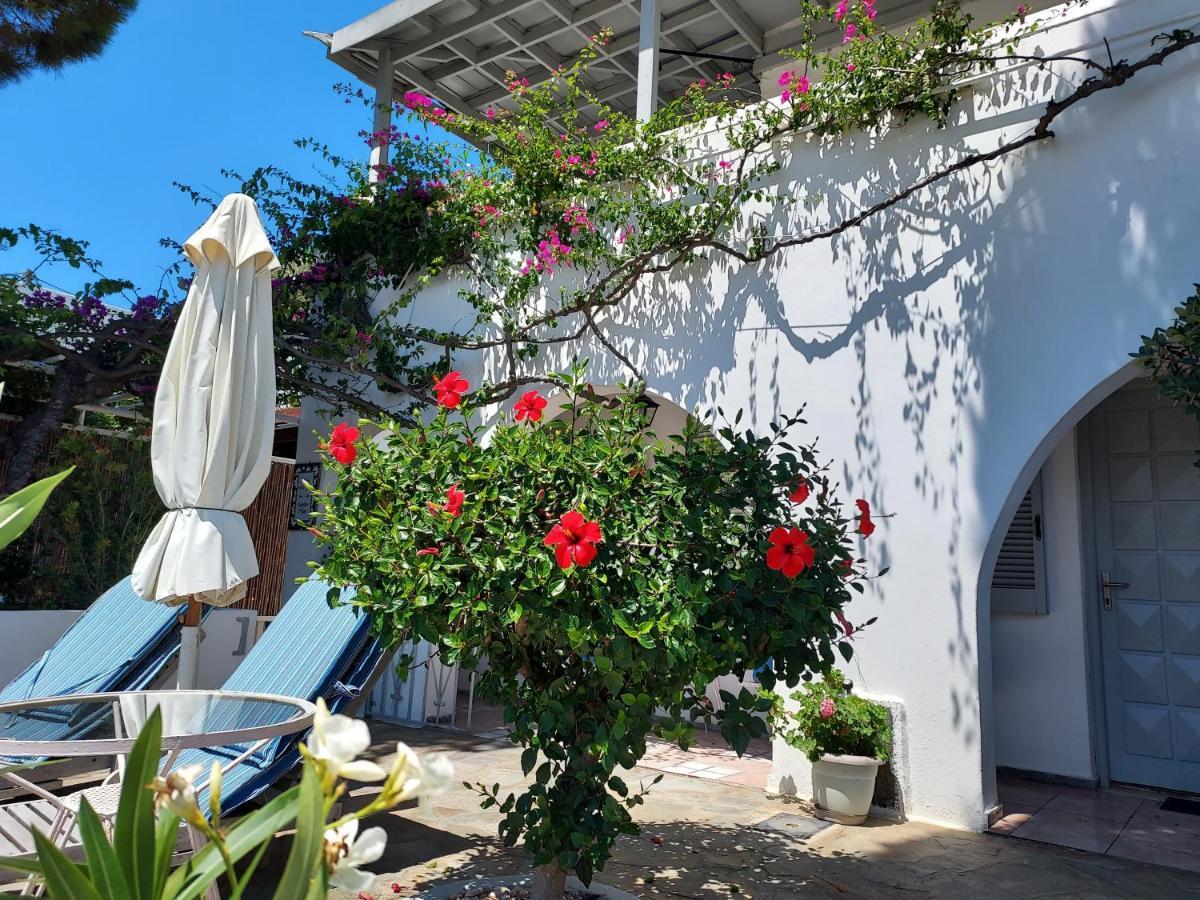 Villa Arni Andros - Βίλα Αρνη Batsíon Exterior foto