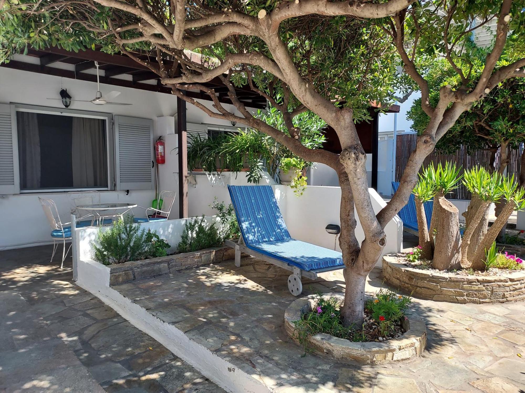 Villa Arni Andros - Βίλα Αρνη Batsíon Cameră foto