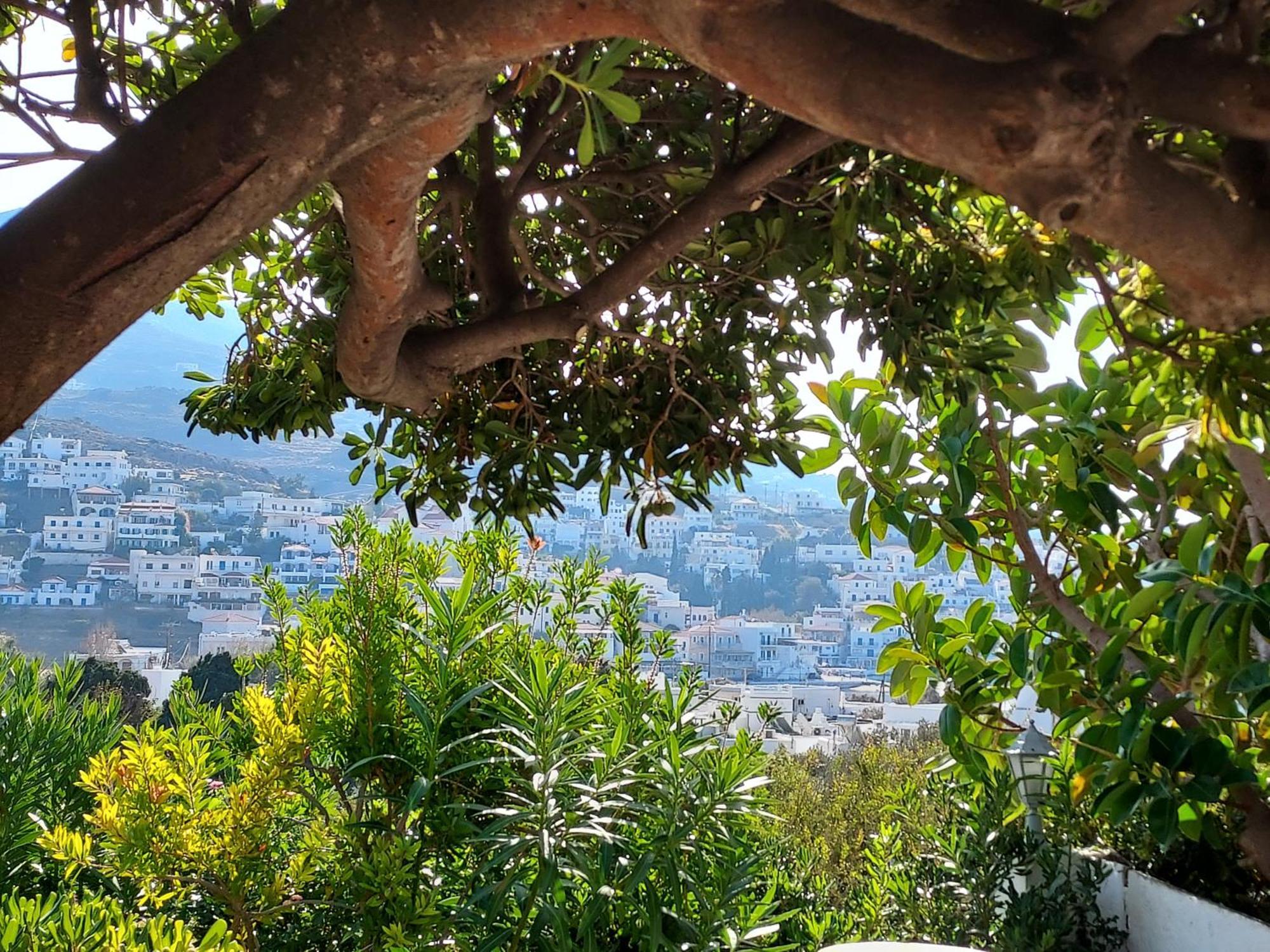 Villa Arni Andros - Βίλα Αρνη Batsíon Cameră foto