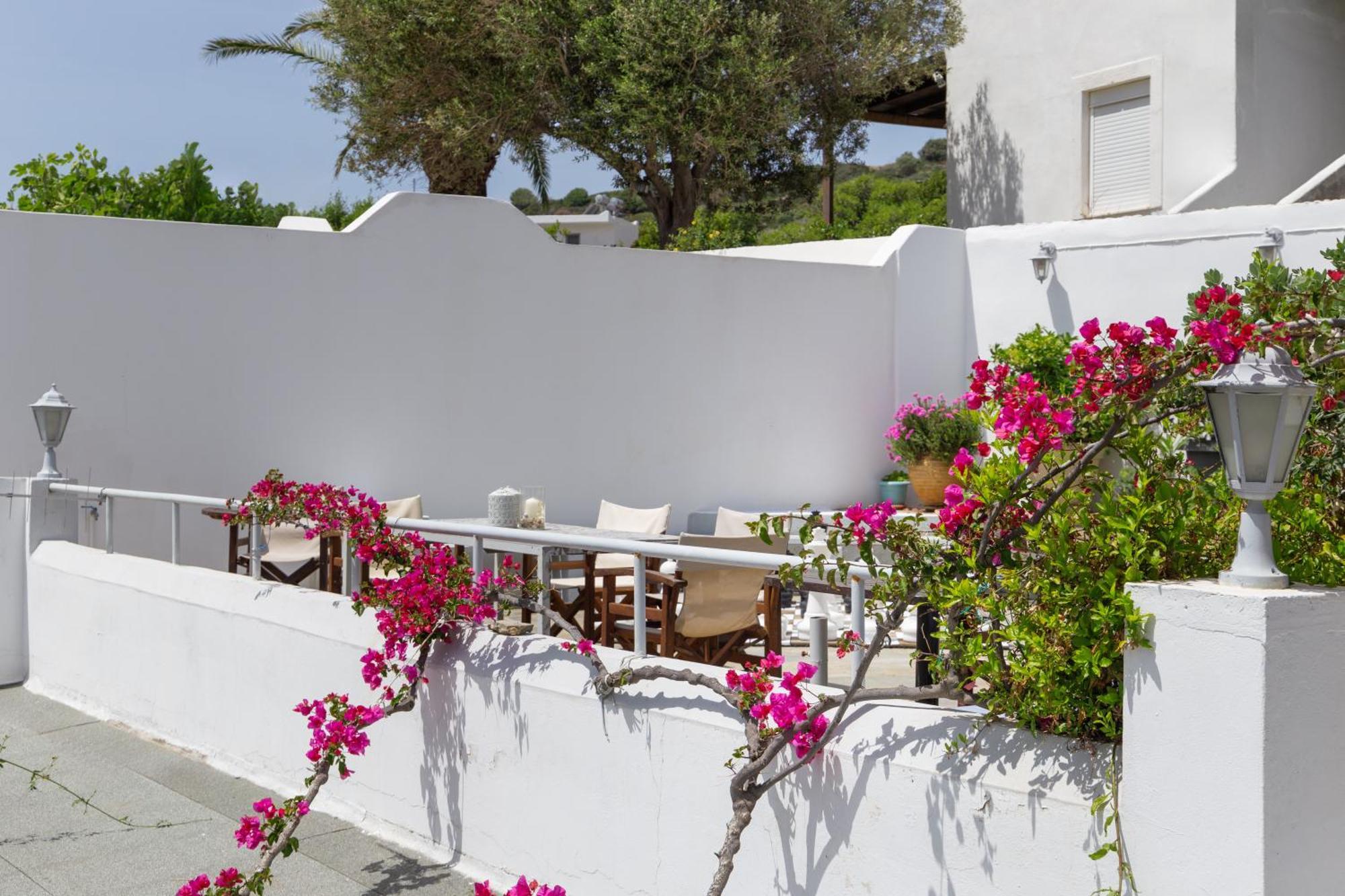 Villa Arni Andros - Βίλα Αρνη Batsíon Exterior foto