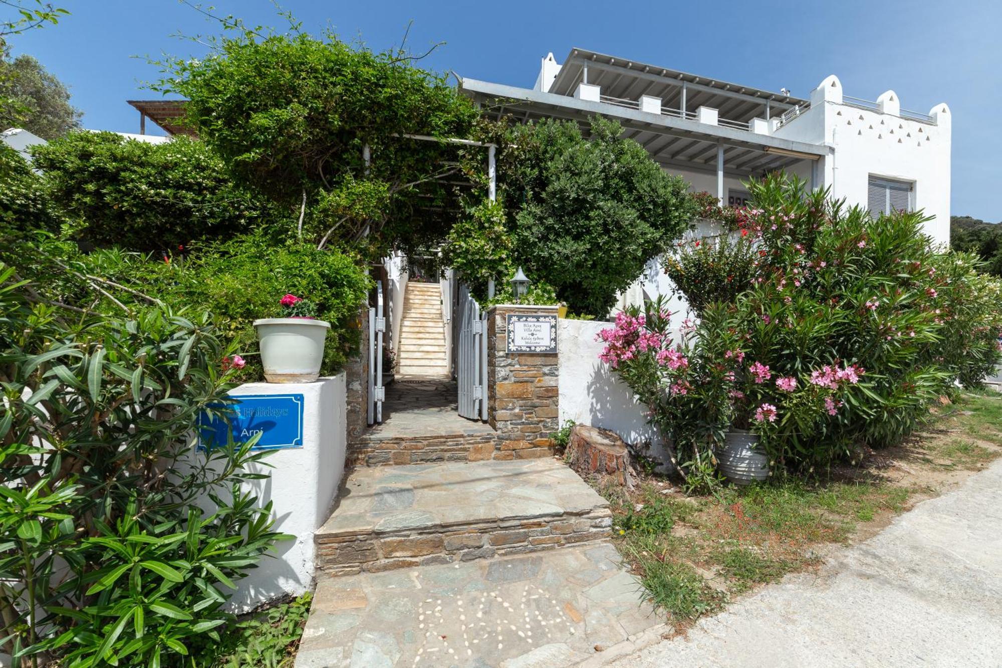 Villa Arni Andros - Βίλα Αρνη Batsíon Exterior foto