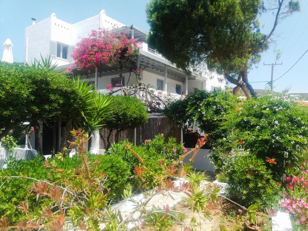 Villa Arni Andros - Βίλα Αρνη Batsíon Exterior foto